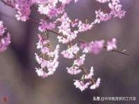 义乌市澄玛电子商务商行