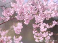 义乌市澄玛电子商务商行