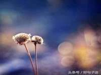 义乌市澄玛电子商务商行