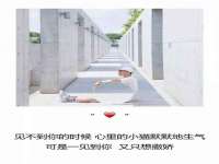 义乌市澄玛电子商务商行