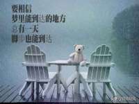 义乌市澄玛电子商务商行