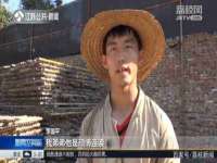 义乌市澄玛电子商务商行
