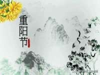 义乌市澄玛电子商务商行