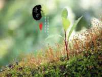 义乌市澄玛电子商务商行