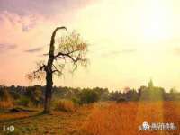 义乌市澄玛电子商务商行