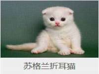 义乌市澄玛电子商务商行