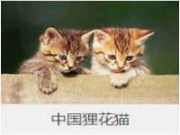 义乌市澄玛电子商务商行