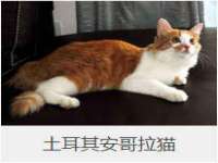 义乌市澄玛电子商务商行