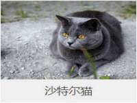 义乌市澄玛电子商务商行