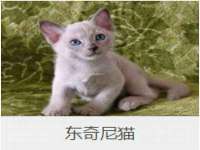 义乌市澄玛电子商务商行