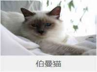 义乌市澄玛电子商务商行