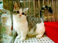 义乌市澄玛电子商务商行