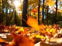 义乌市澄玛电子商务商行