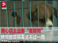 义乌市澄玛电子商务商行