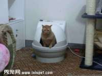 义乌市澄玛电子商务商行