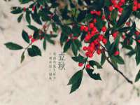 义乌市澄玛电子商务商行