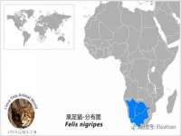 义乌市澄玛电子商务商行