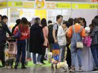 义乌市澄玛电子商务商行