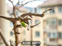 义乌市澄玛电子商务商行