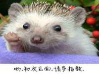 义乌市澄玛电子商务商行