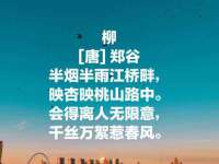 义乌市澄玛电子商务商行