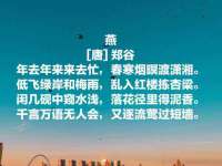义乌市澄玛电子商务商行