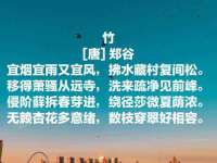 义乌市澄玛电子商务商行