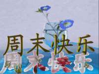 义乌市澄玛电子商务商行