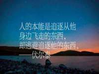 义乌市澄玛电子商务商行