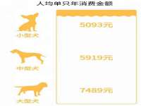 义乌市澄玛电子商务商行