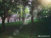 义乌市澄玛电子商务商行