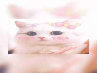 义乌市澄玛电子商务商行