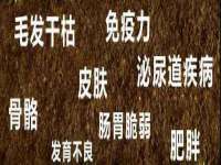 义乌市澄玛电子商务商行