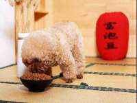义乌市澄玛电子商务商行