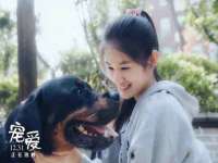 义乌市澄玛电子商务商行