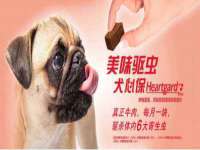 义乌市澄玛电子商务商行