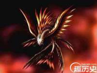 义乌市澄玛电子商务商行