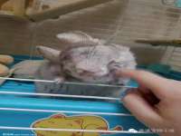 义乌市澄玛电子商务商行