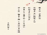 义乌市澄玛电子商务商行