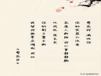 义乌市澄玛电子商务商行