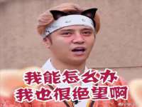 义乌市澄玛电子商务商行