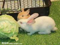 义乌市澄玛电子商务商行