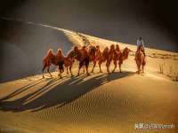义乌市澄玛电子商务商行