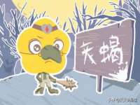 义乌市澄玛电子商务商行