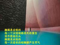 义乌市澄玛电子商务商行