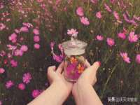 义乌市澄玛电子商务商行