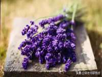 义乌市澄玛电子商务商行