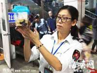 义乌市澄玛电子商务商行