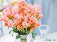 义乌市澄玛电子商务商行